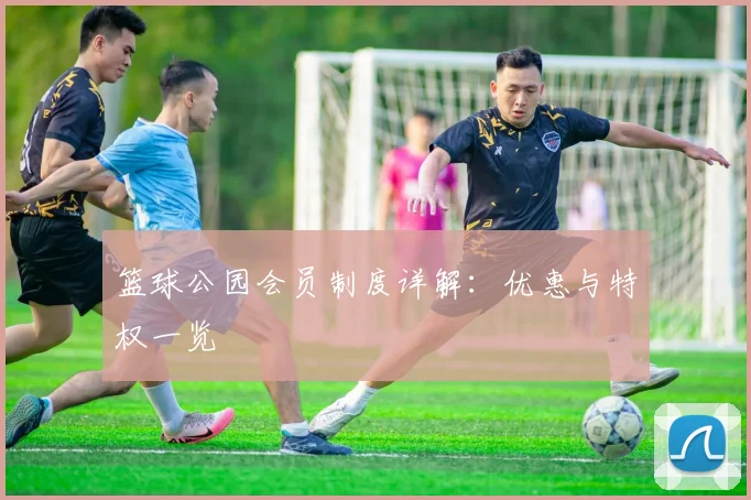 篮球公园会员制度详解：优惠与特权一览